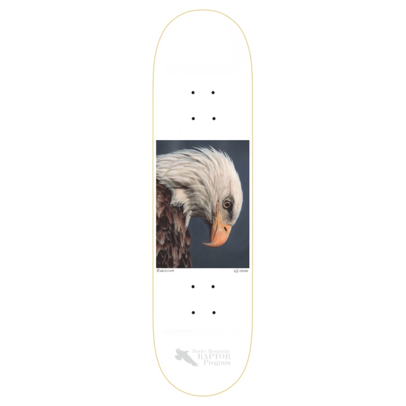 ZERO BURLEIGH BALD EAGLE 8.5" SKATEBOARD DECK