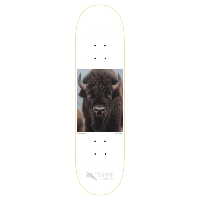 ZERO SANDOVAL BUFFALO 8.25" SKATEBOARD DECK