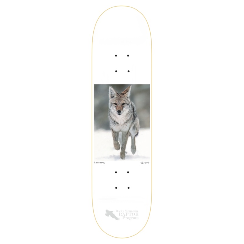 ZERO THOMAS COYOTE 8.5" SKATEBOARD DECK