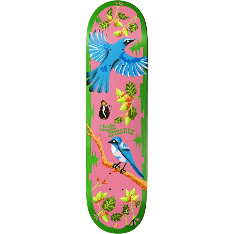 BIRDHOUSE Armanto Theodore Payne 8.25" SKATEBOARD DECK