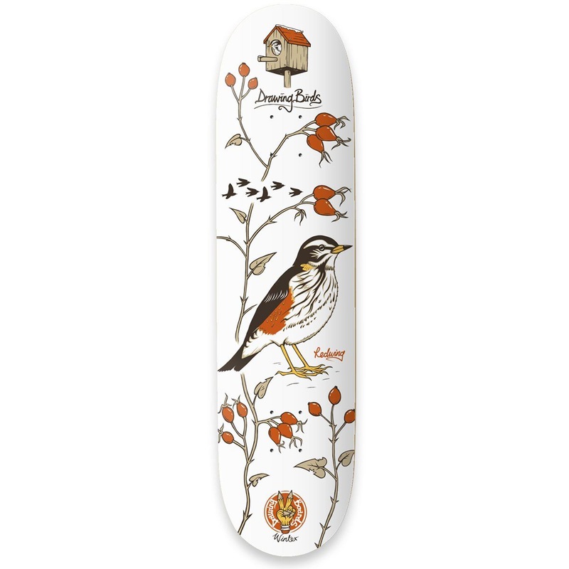 Drawing Boards Redwing Skateboard Deck - 8.1"