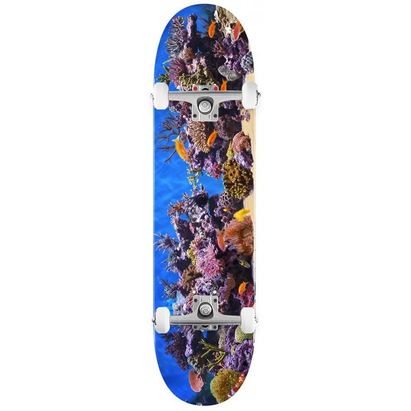 Mini Logo FF&F 18 Fish Tank 191 Mini Custom Complete Skateboard - 7.5"