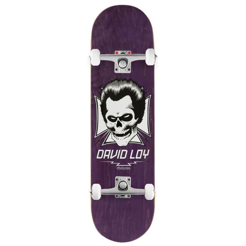 Birdhouse Pro Loy Skull Custom Complete Skateboard - 8.38"