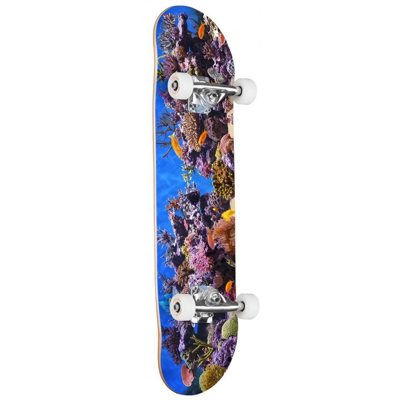 Mini Logo Fish Tank Complete Skateboard - 7.75"
