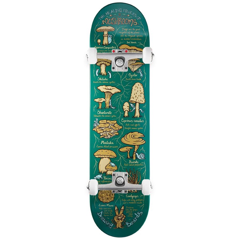 Drawing Boards Shroom Custom Complete Skateboard - 8.5"